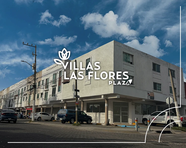 constructora-inmobiliaria-guadalajara-proyecto-88-jalisco-foto-1