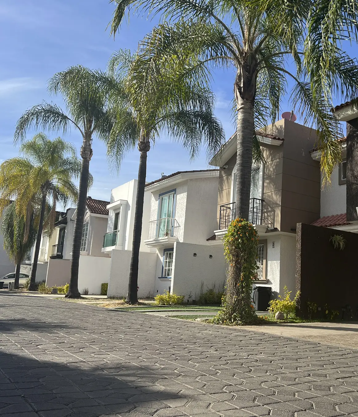 P88-Villas las Flores-D (4)