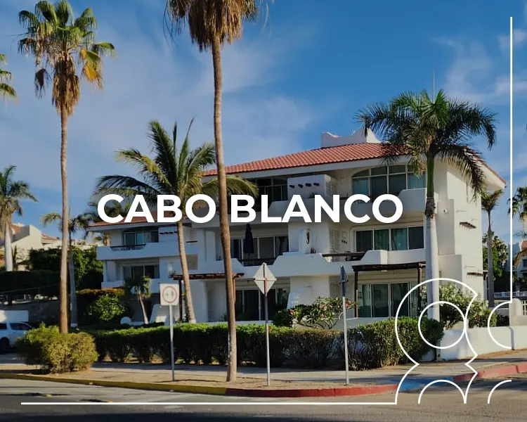 constructora-inmobiliaria-guadalajara-proyecto-88-jalisco-foto-1